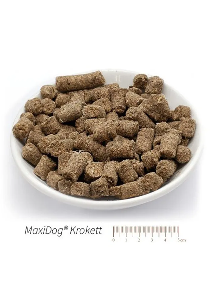 Das Allroundfutter für den normal aktiven Hund