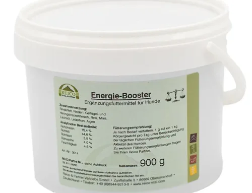 Energie-Booster