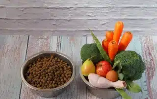 naehrstoffe fuer hunde