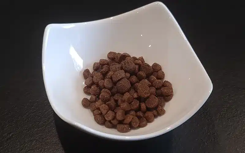 Katzenleckerli katzen leckerlie