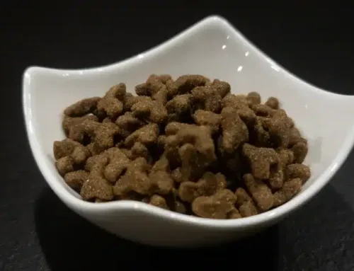 Katzenleckerli