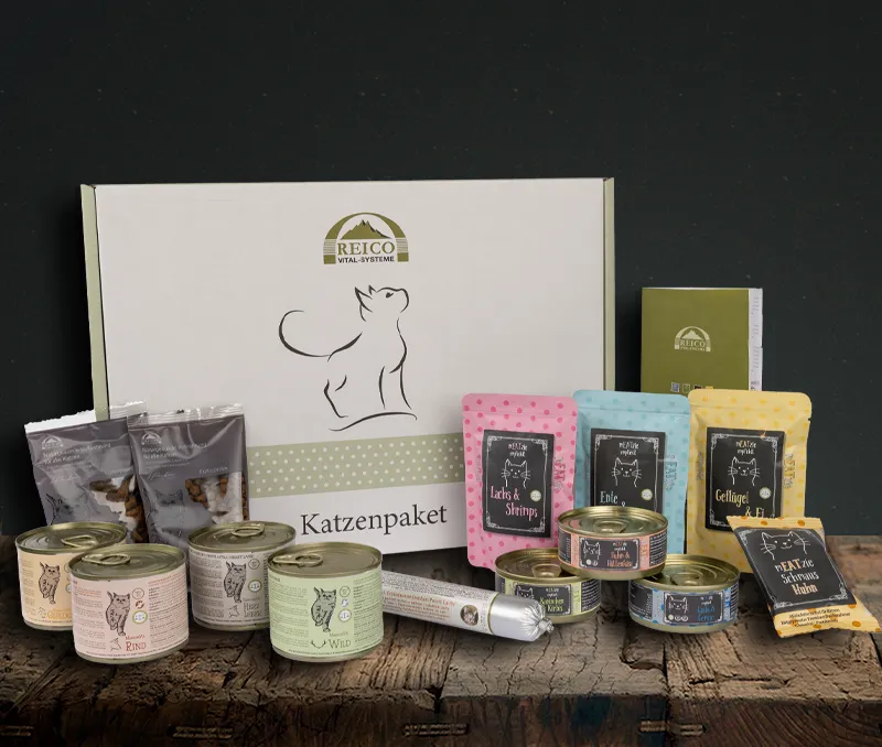 katzenpaket 1