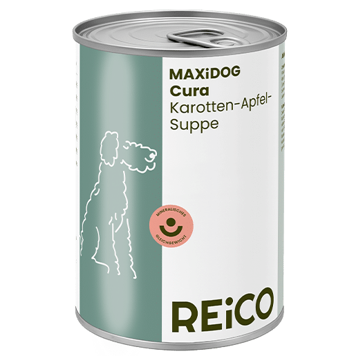 maxidog cura karotten apfel suppe