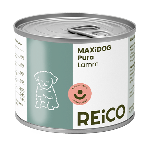 maxidog pura lamm