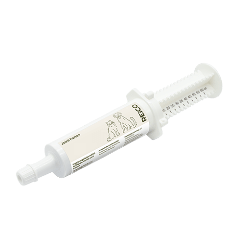 joint frote gelenk vital