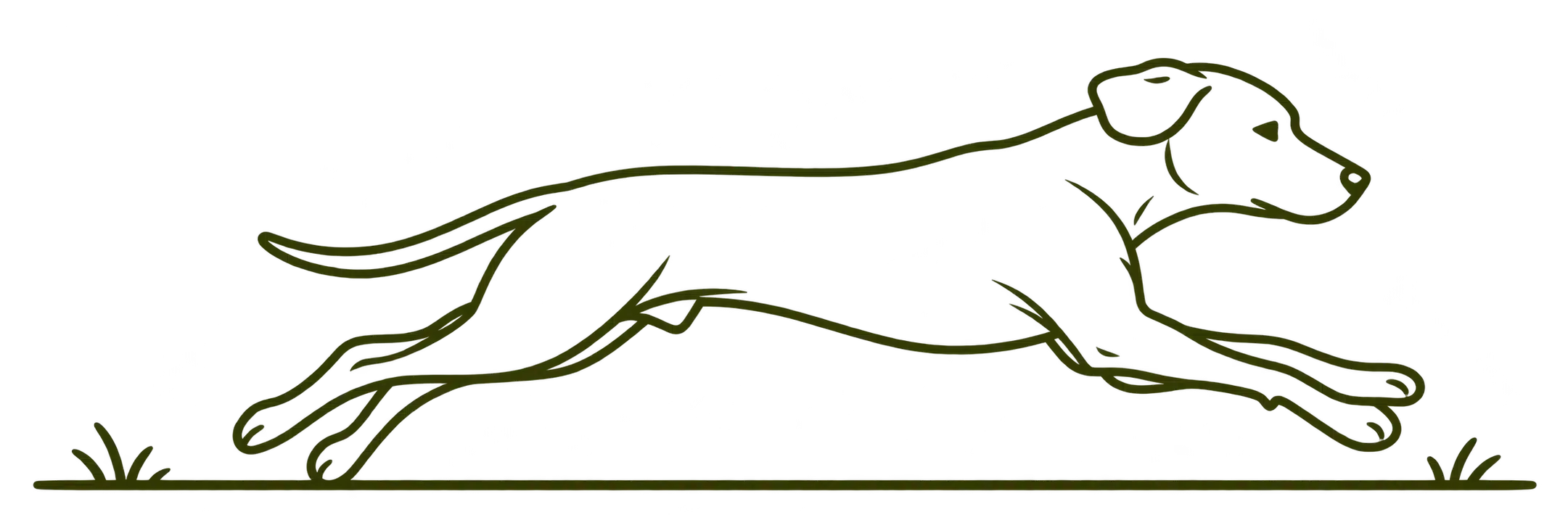 icon rr lauf